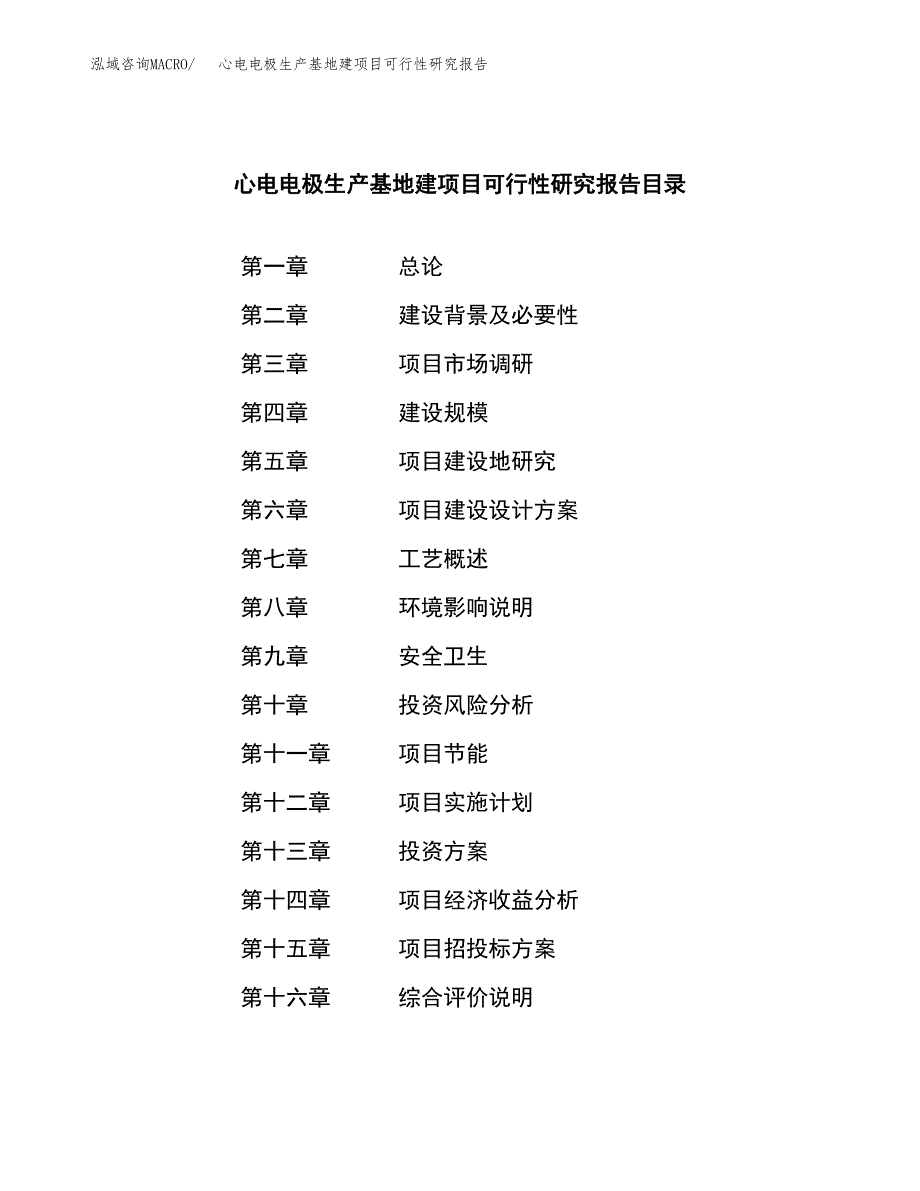 （模板）心电电极生产基地建项目可行性研究报告_第3页