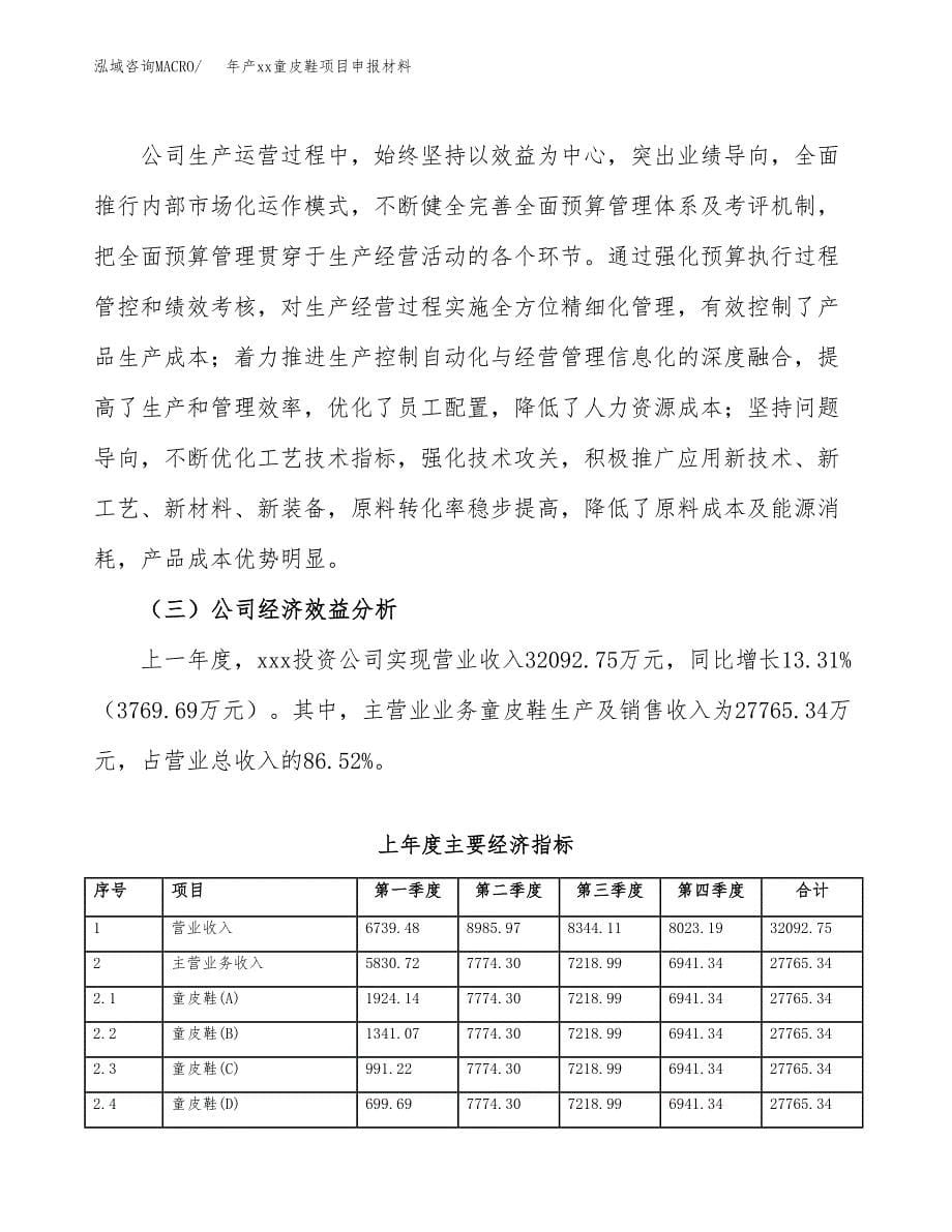 年产xx童皮鞋项目申报材料_第5页