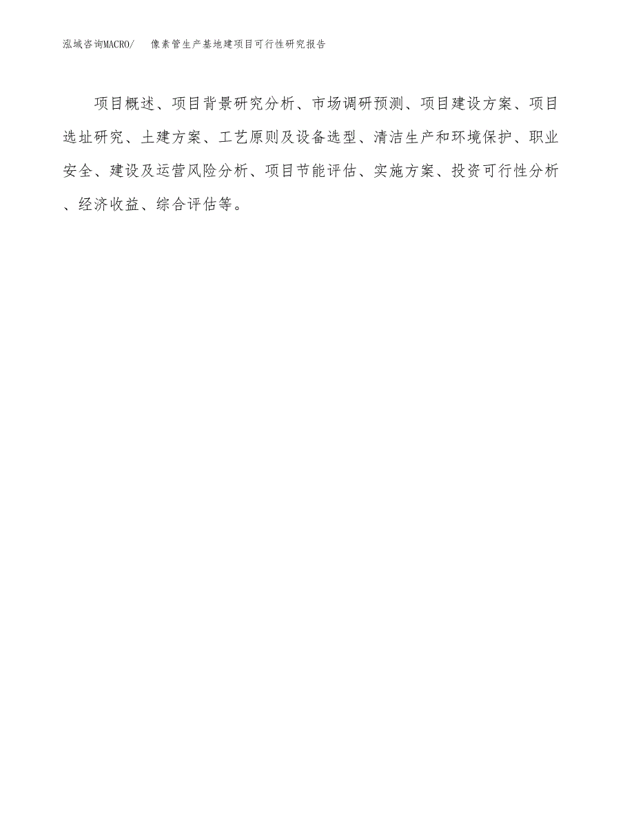 （模板）像素管生产基地建项目可行性研究报告 (1)_第3页