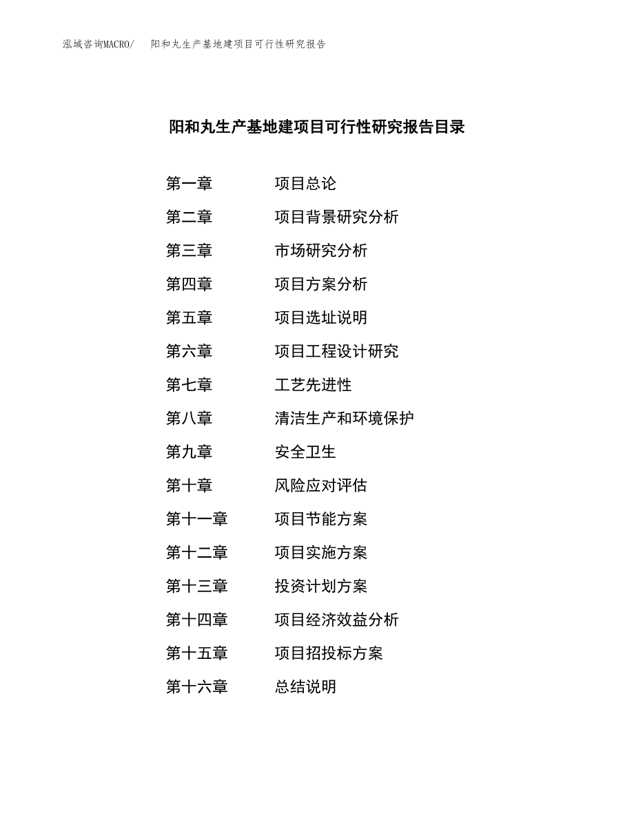 （模板）阳和丸生产基地建项目可行性研究报告_第4页