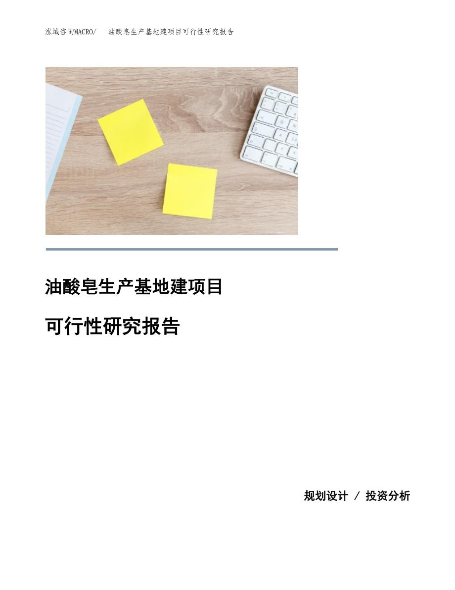 （模板）油酸皂生产基地建项目可行性研究报告_第1页