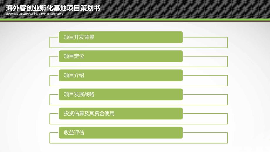 创业孵化基地项目策划书V1.0_第2页