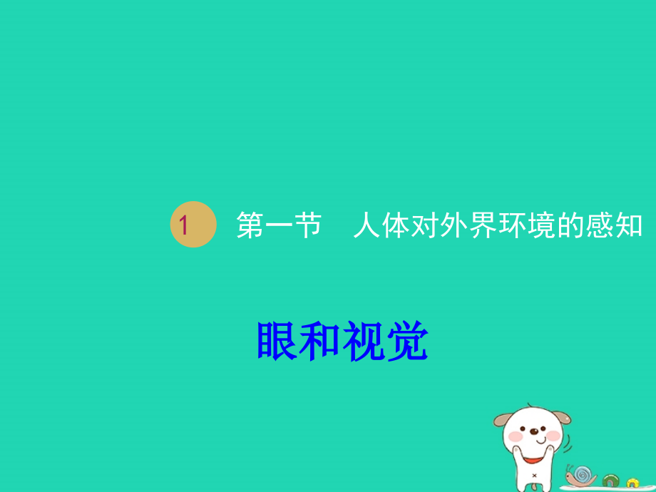 七年级生物下册 第四单元 第六章 第一节 人体对外界环境的感知课件1 （新版）新人教版_第2页