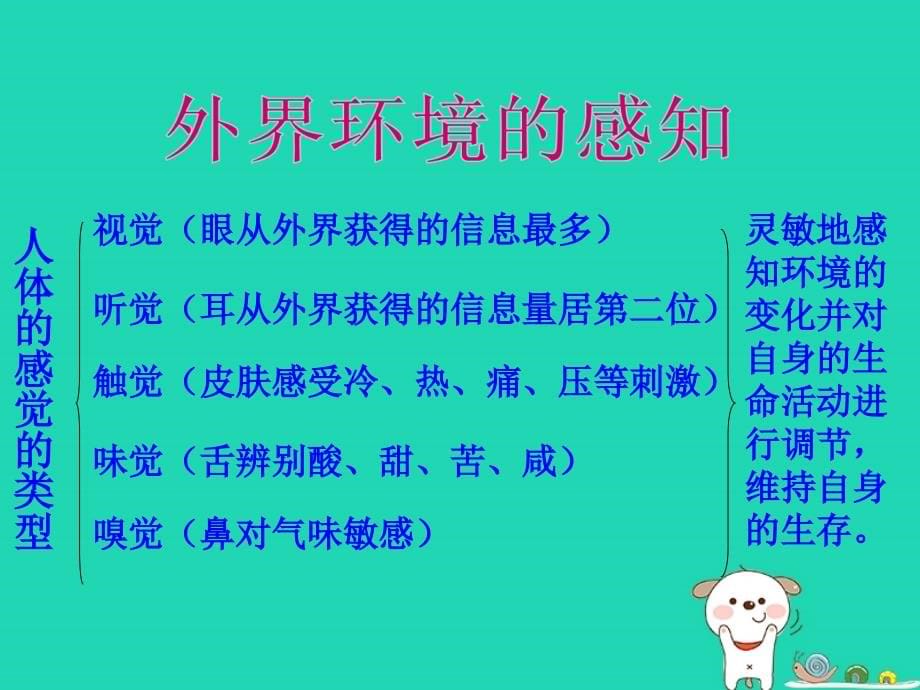 七年级生物下册 第四单元 第六章 第一节 人体对外界环境的感知课件1 （新版）新人教版_第5页