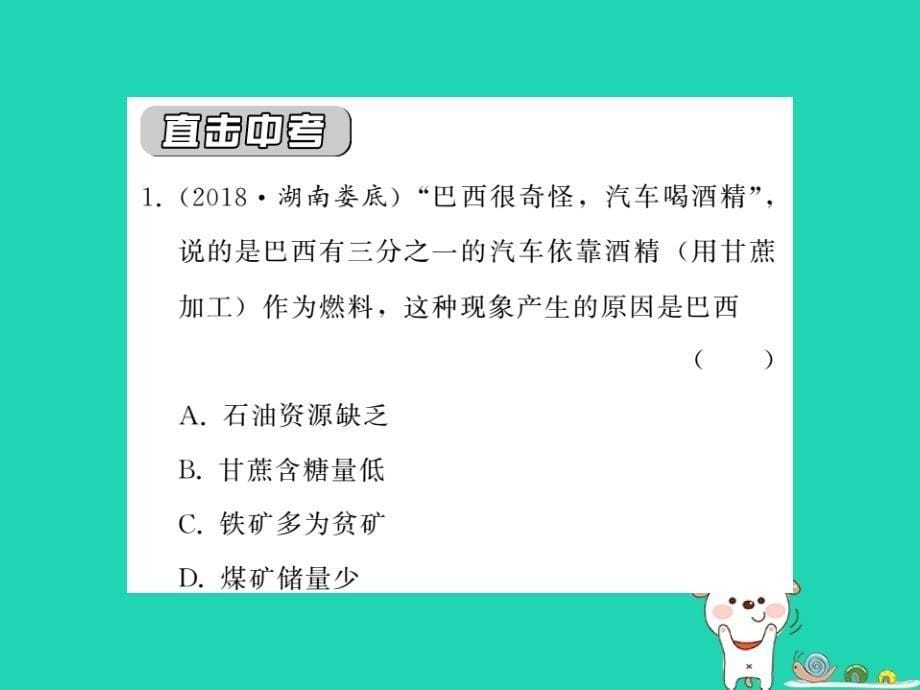 2019中考地理一轮复习第9章西半球的国家知识点梳理课件20190218476_第5页