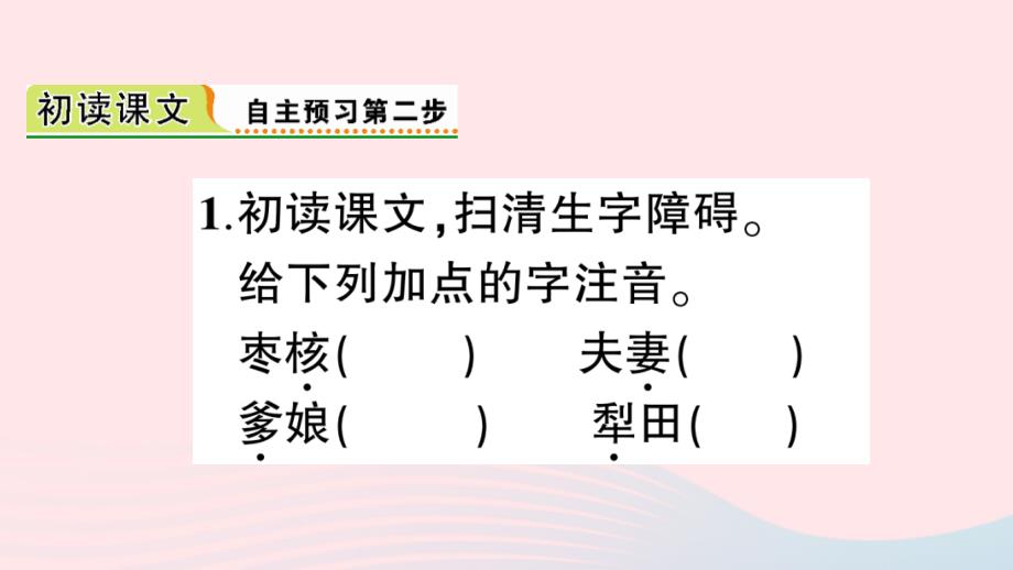 2019三年级语文下册第八单元28枣核习题课件新人教版20190307140_第3页