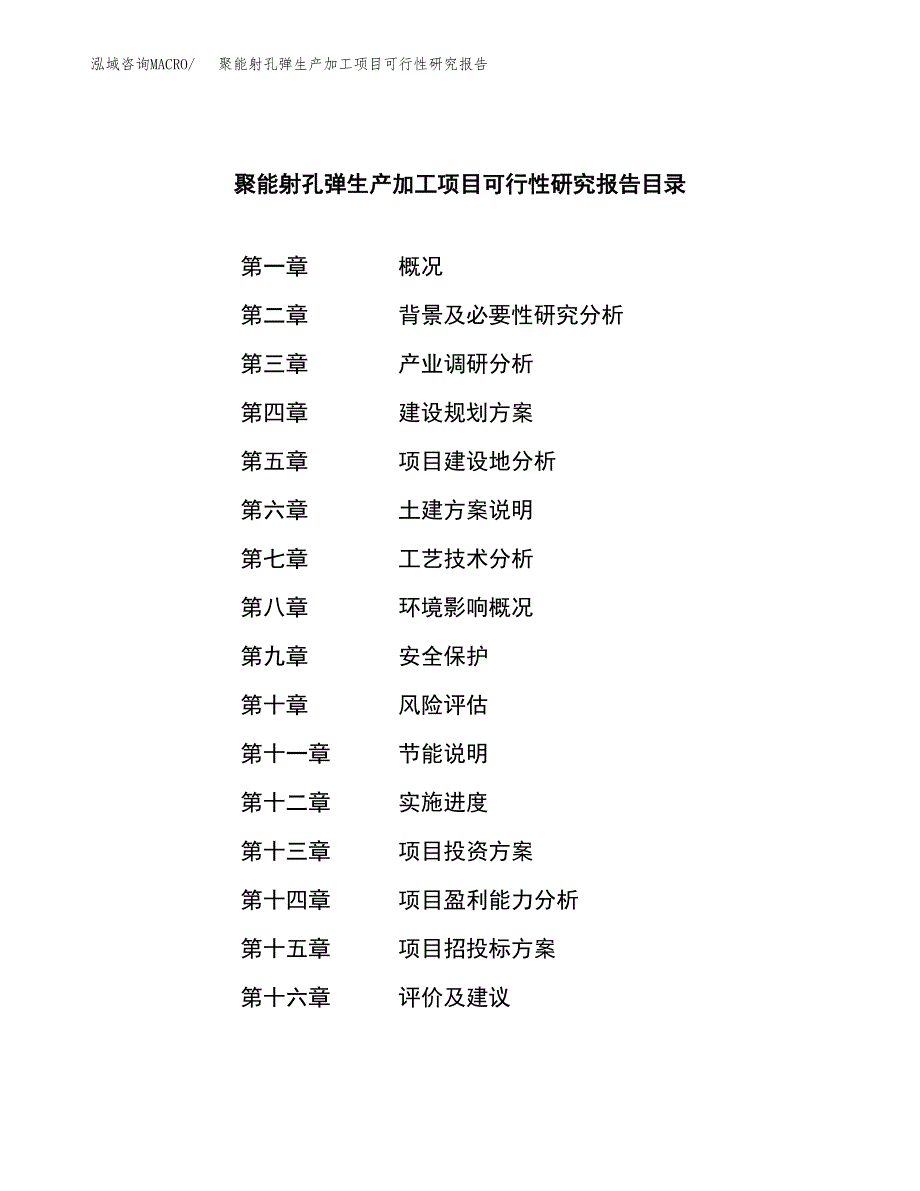 聚能射孔弹生产加工项目可行性研究报告_第3页