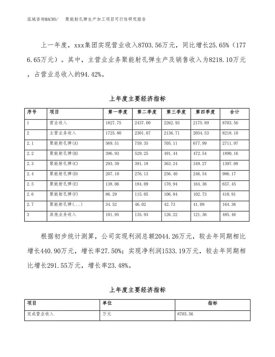 聚能射孔弹生产加工项目可行性研究报告_第5页