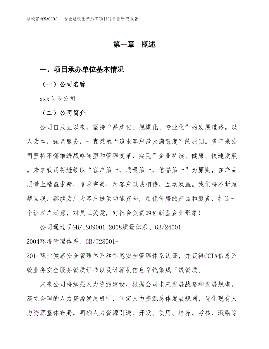 合金磁铁生产加工项目可行性研究报告_第4页