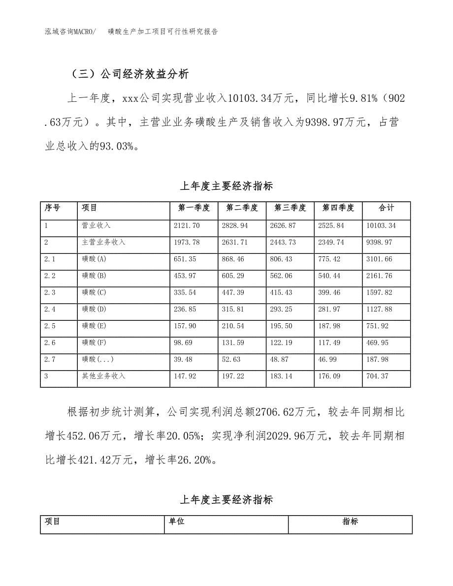 磺酸生产加工项目可行性研究报告_第5页