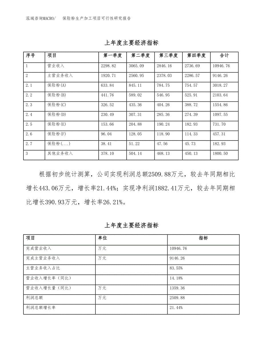 保险粉生产加工项目可行性研究报告 (1)_第5页