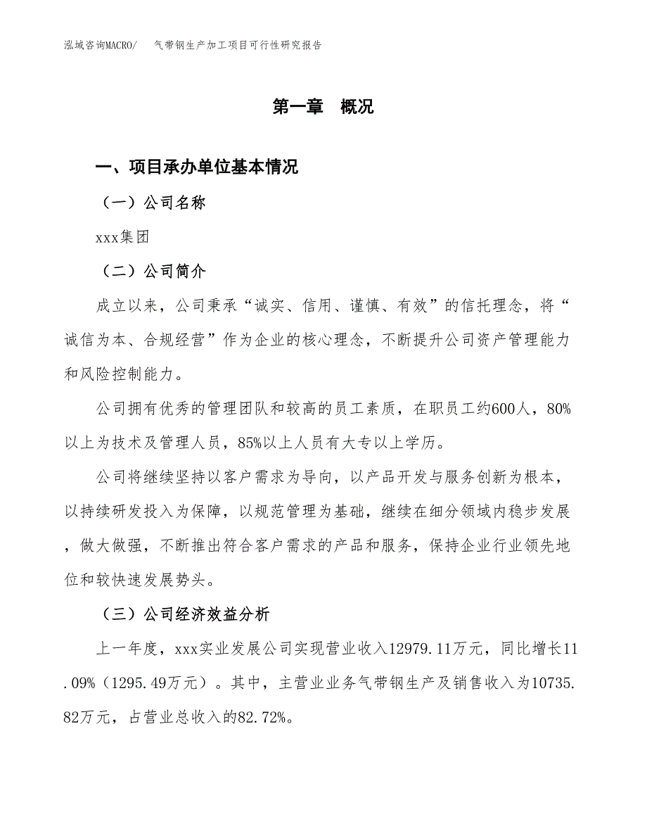 气带钢生产加工项目可行性研究报告_第4页