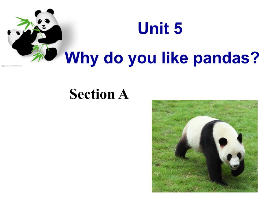 七年级下册sectionA unit5_why_do_you_like_pandas_课件_第1页