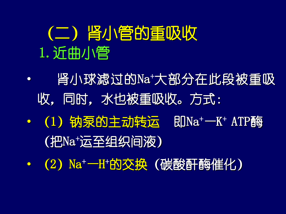 利尿药作用的生理学基础及作用机制_第4页