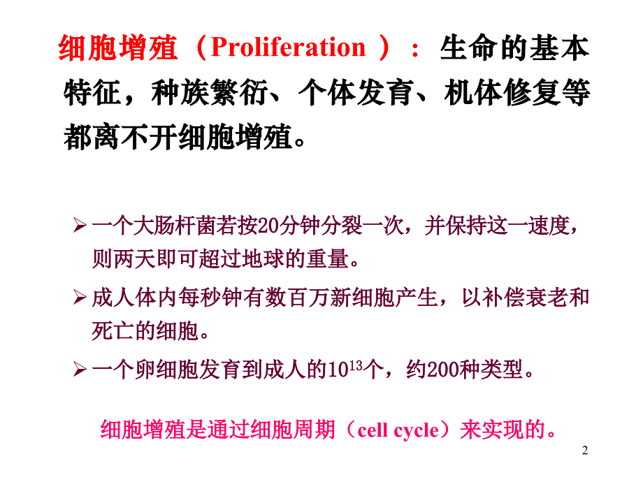 10_细胞周期与细胞分裂_第2页