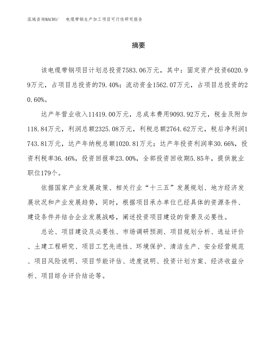 电缆带钢生产加工项目可行性研究报告_第2页