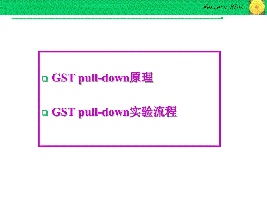 gst pull-down实验技术_第2页