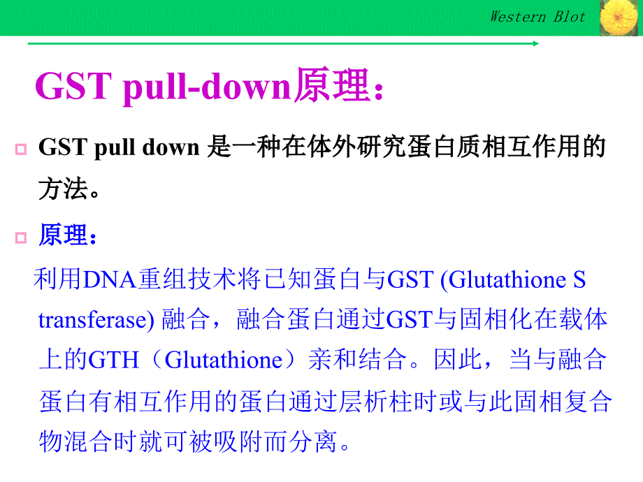 gst pull-down实验技术_第3页