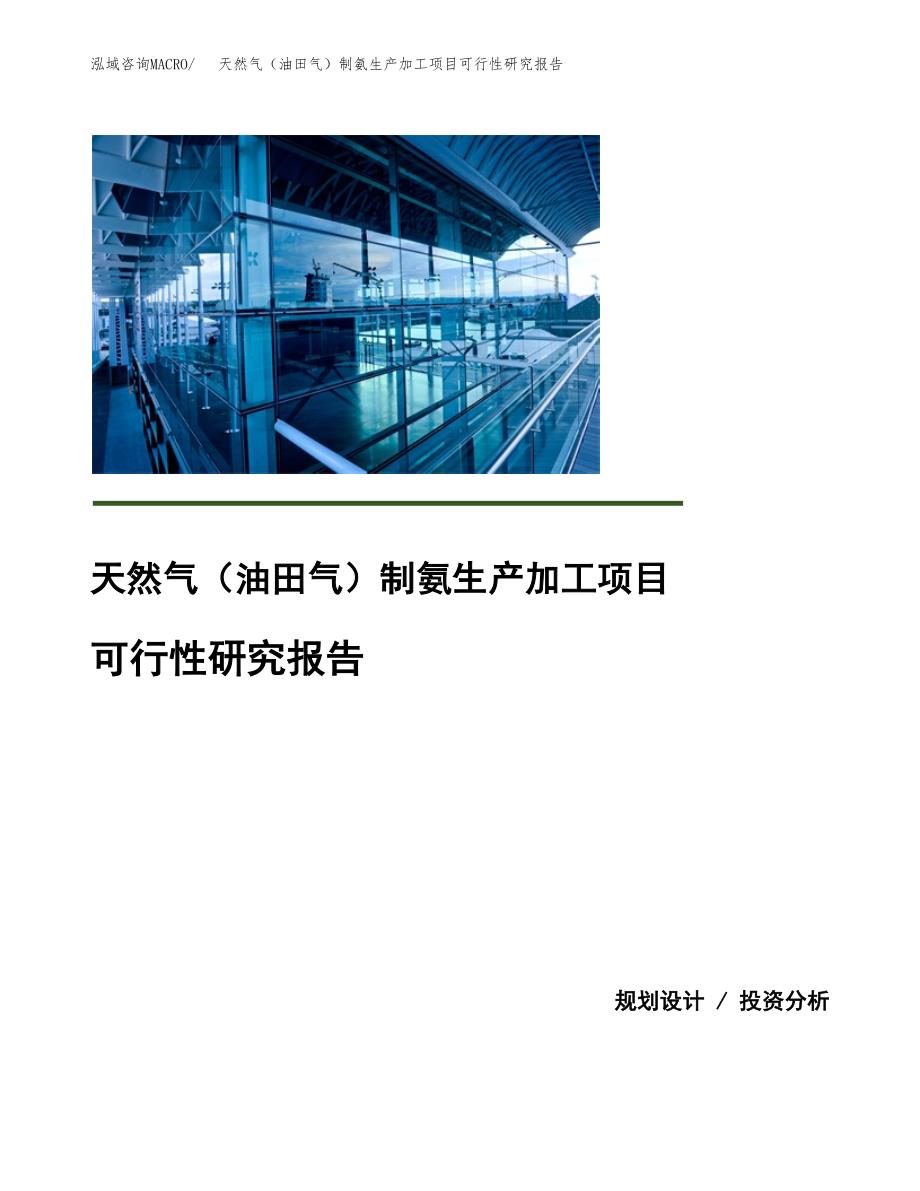 天然气（油田气）制氨生产加工项目可行性研究报告_第1页