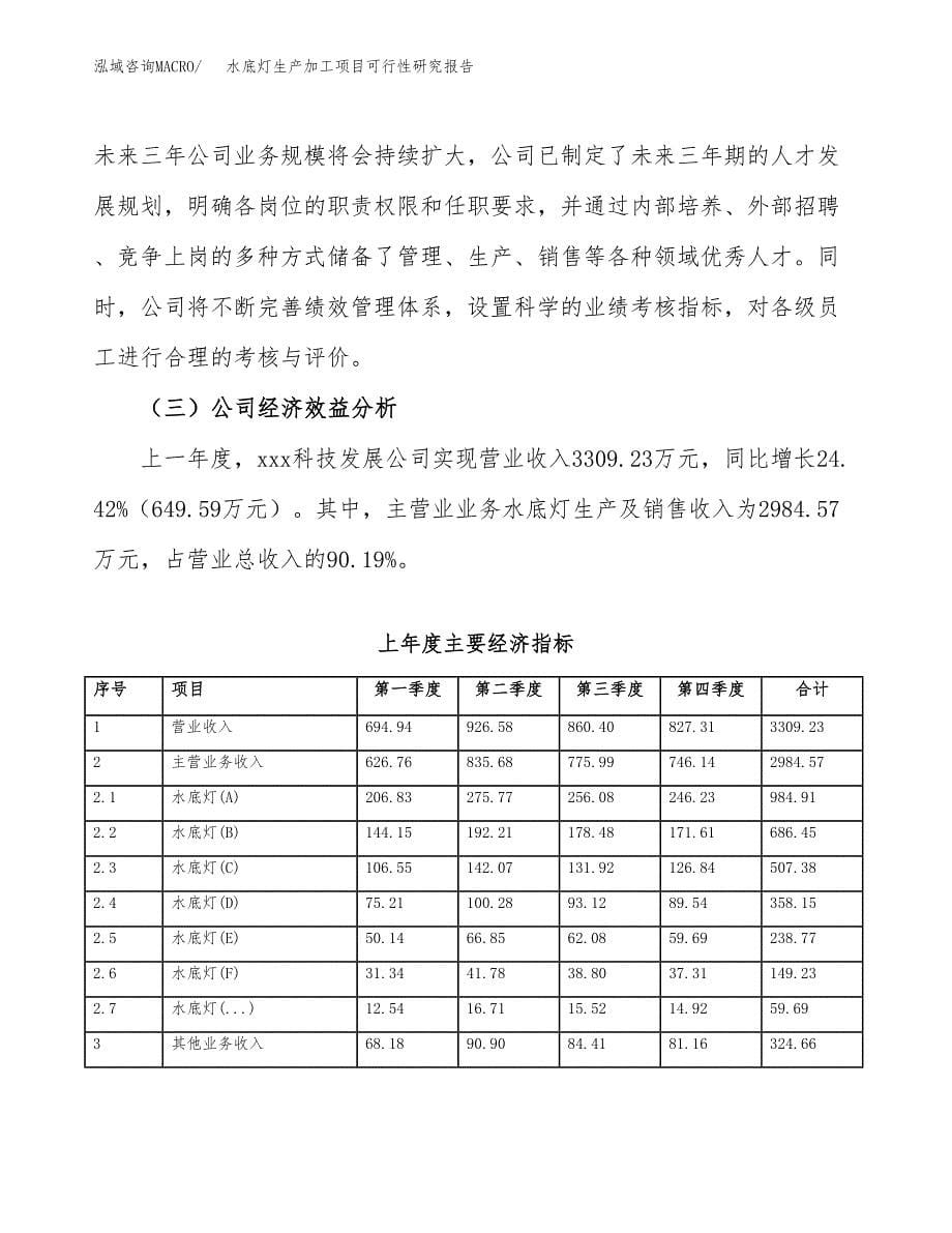 水底灯生产加工项目可行性研究报告_第5页