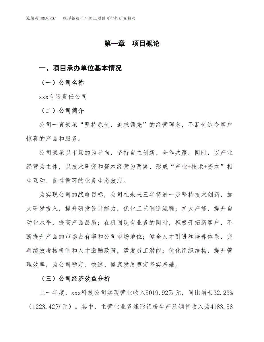 球形铝粉生产加工项目可行性研究报告_第4页