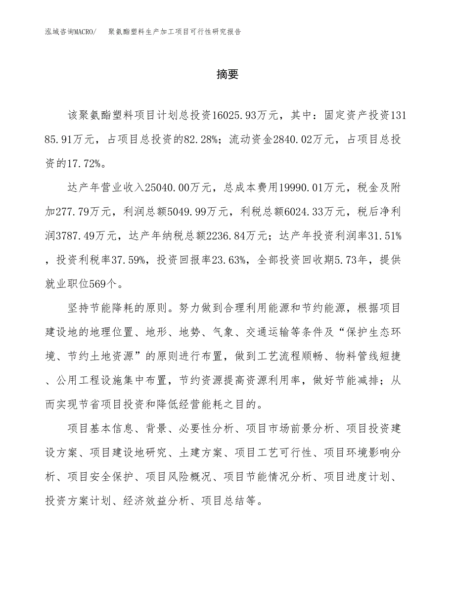 聚氨酯塑料生产加工项目可行性研究报告_第2页