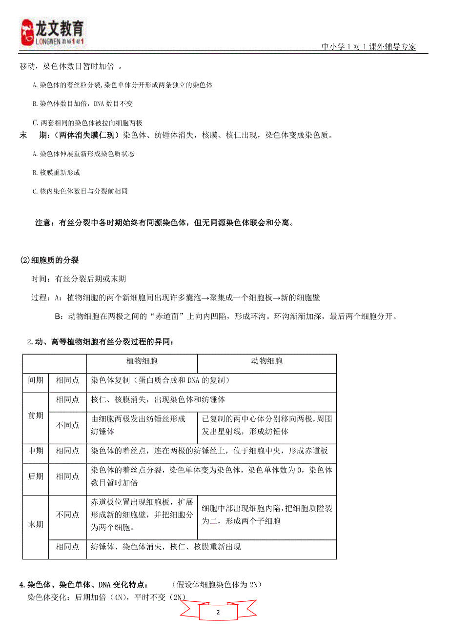 细胞有丝分裂过程_第2页