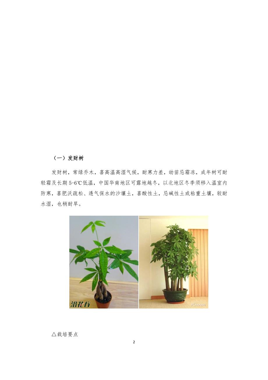 办公室绿植养殖方法及注意事项_第2页