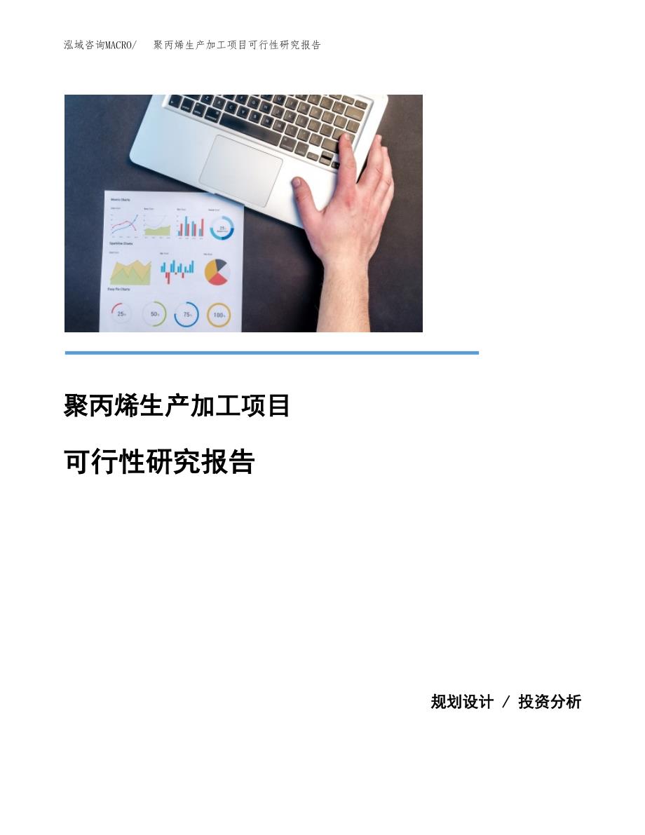 聚丙烯生产加工项目可行性研究报告_第1页