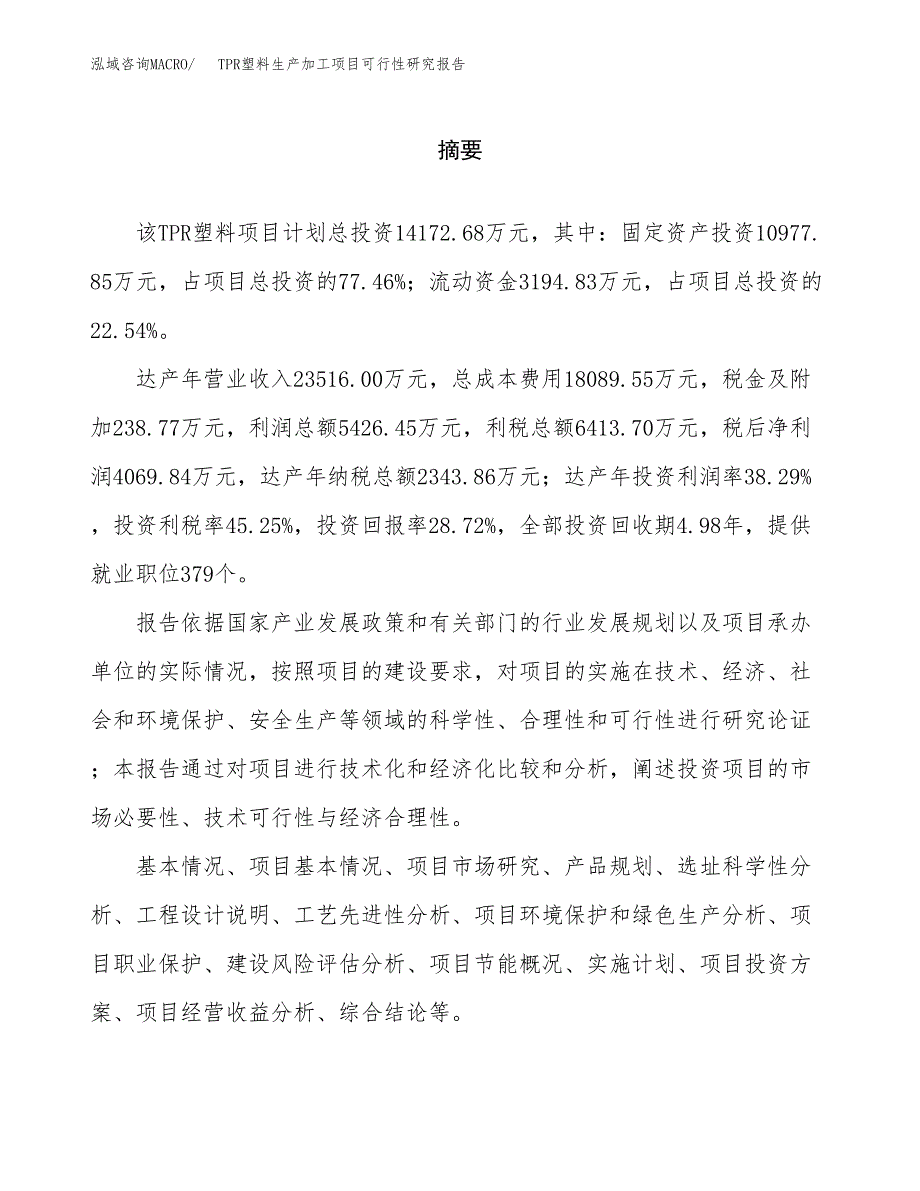 TPR塑料生产加工项目可行性研究报告_第2页