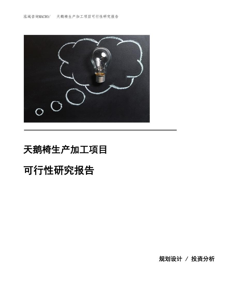 天鹅椅生产加工项目可行性研究报告_第1页