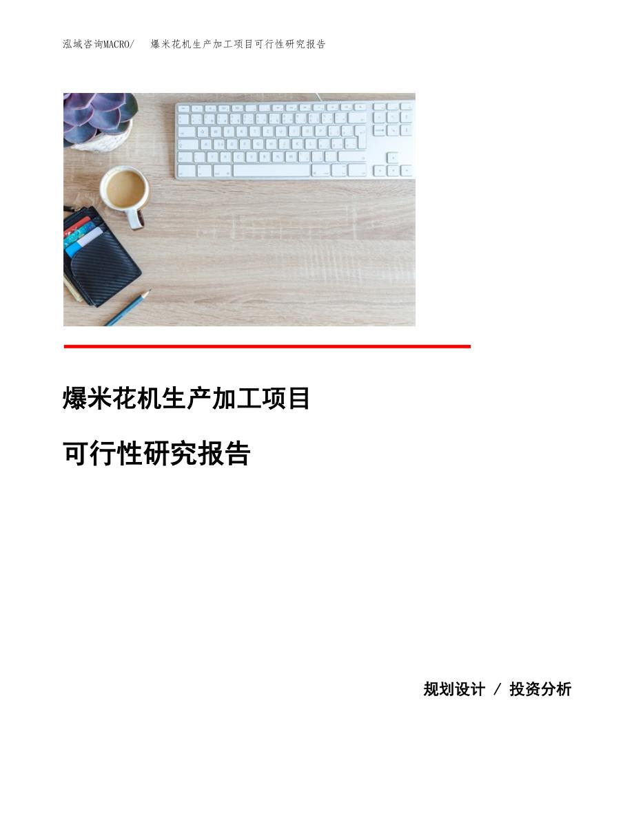 爆米花机生产加工项目可行性研究报告_第1页