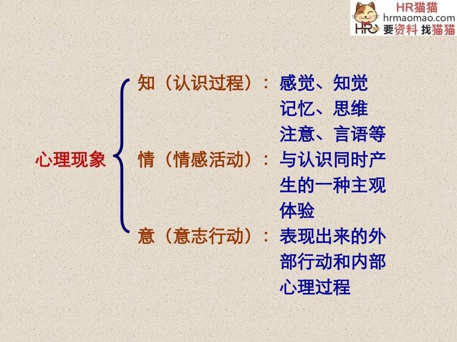 《人力心理学-心理学在人员招聘、选拔及评价中的应用》_第5页