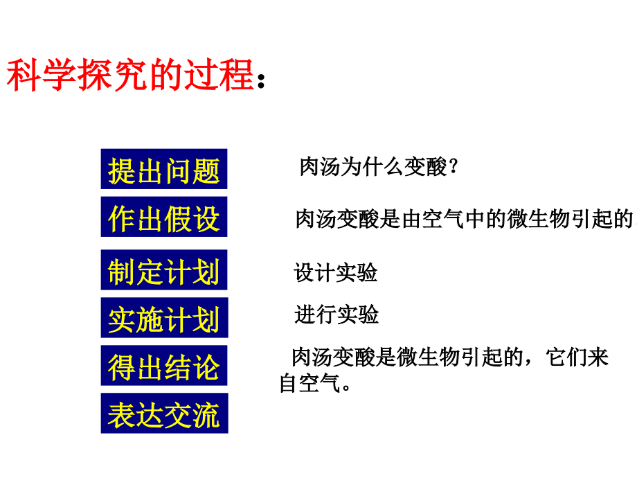 初中生物识图(总)_第4页