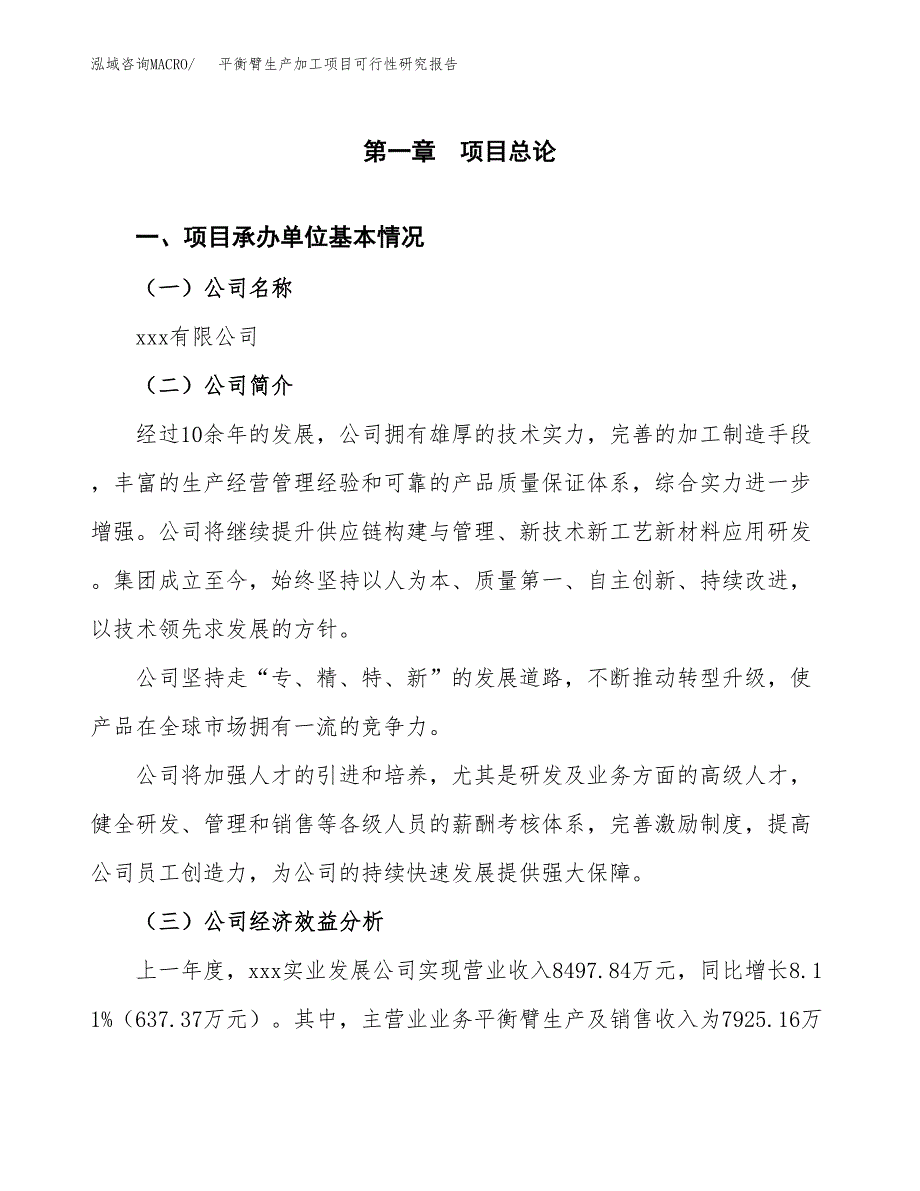 平衡臂生产加工项目可行性研究报告_第4页