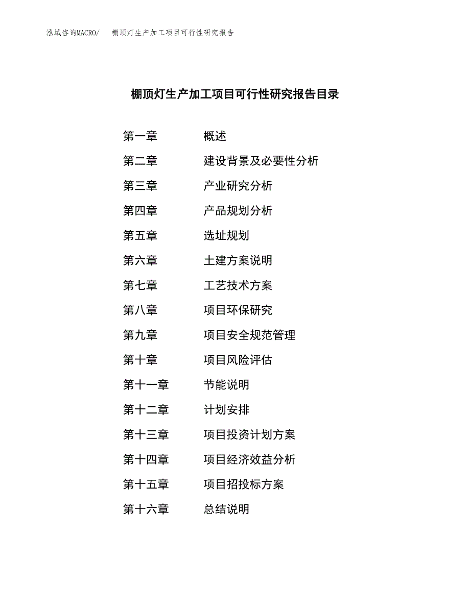 棚顶灯生产加工项目可行性研究报告_第3页