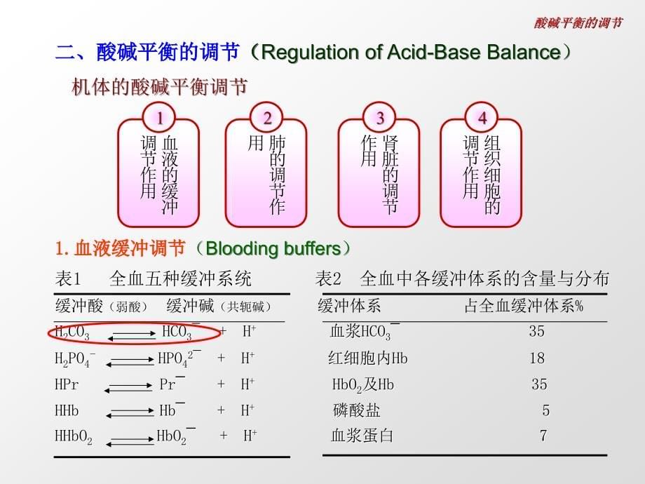 病理生理学课件      酸碱平衡紊乱_第5页