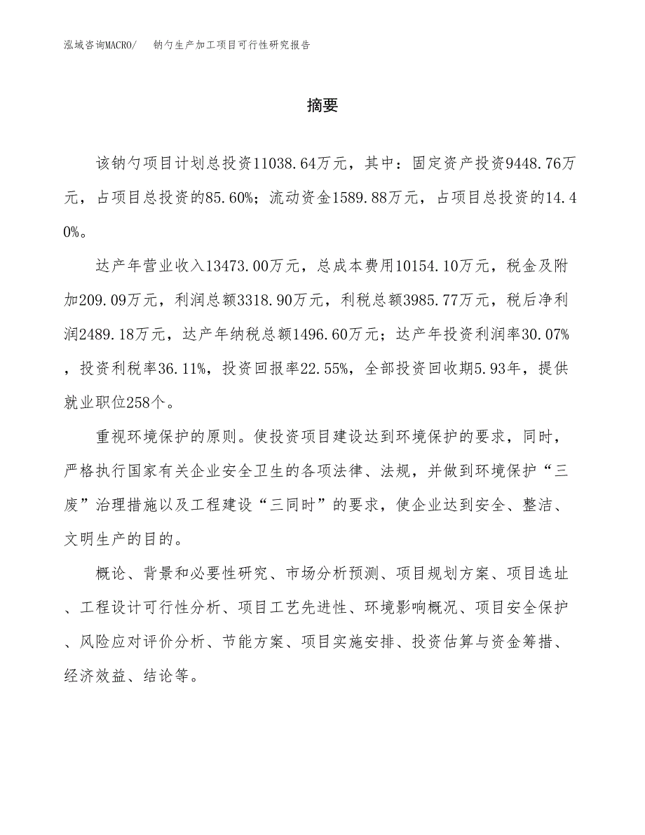 钠勺生产加工项目可行性研究报告_第2页