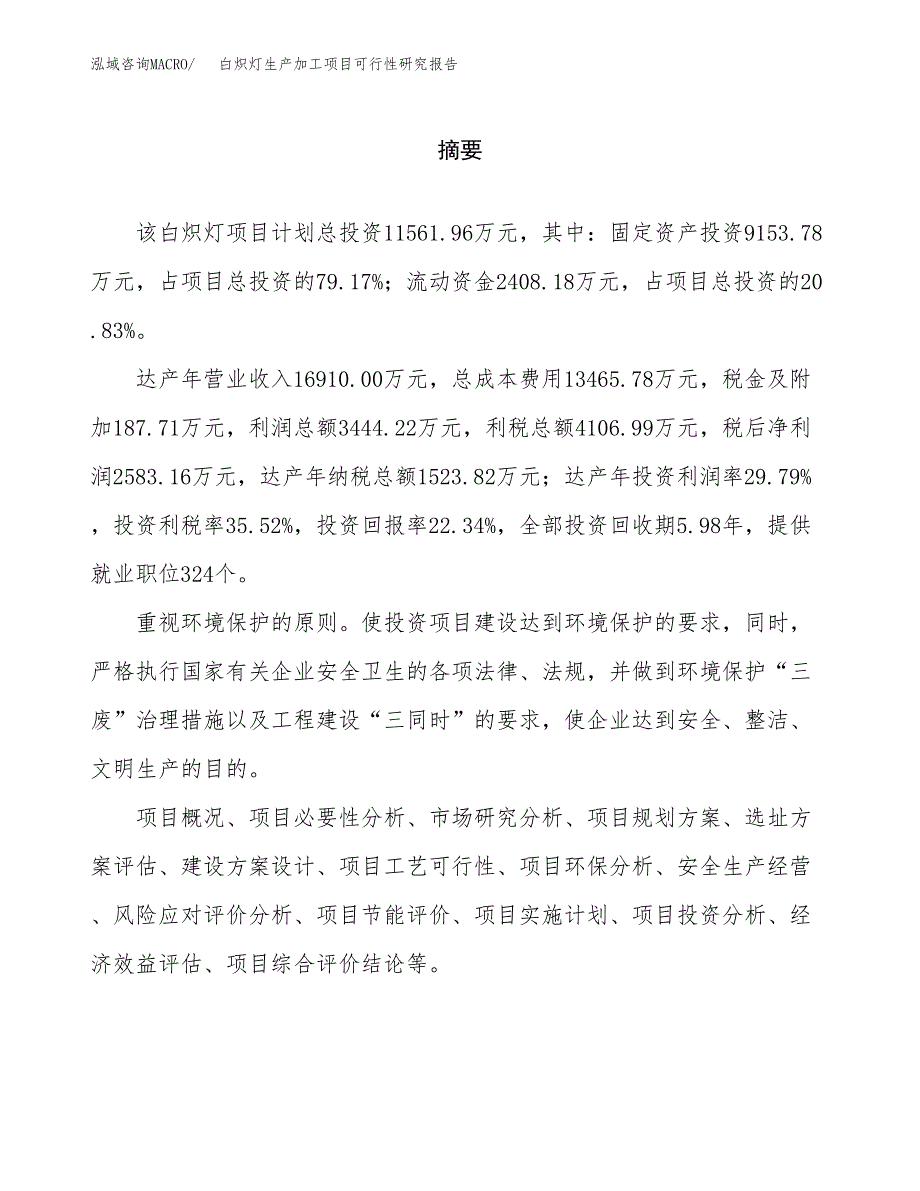 白炽灯生产加工项目可行性研究报告_第2页