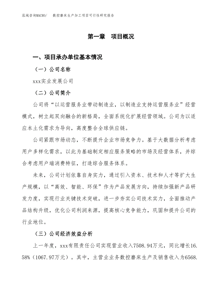 数控磨床生产加工项目可行性研究报告_第4页