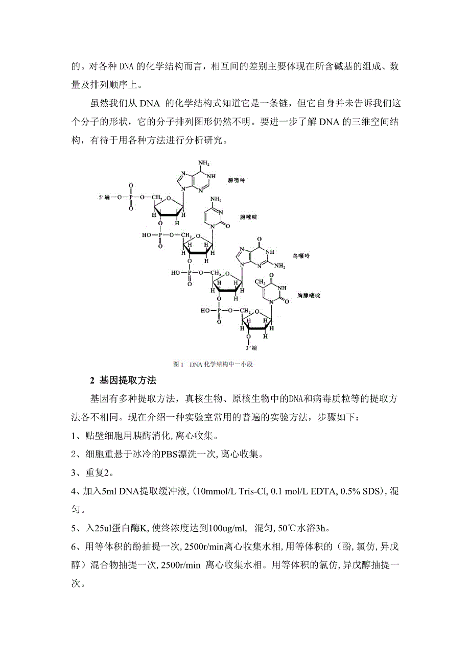 dna结构分析_第2页