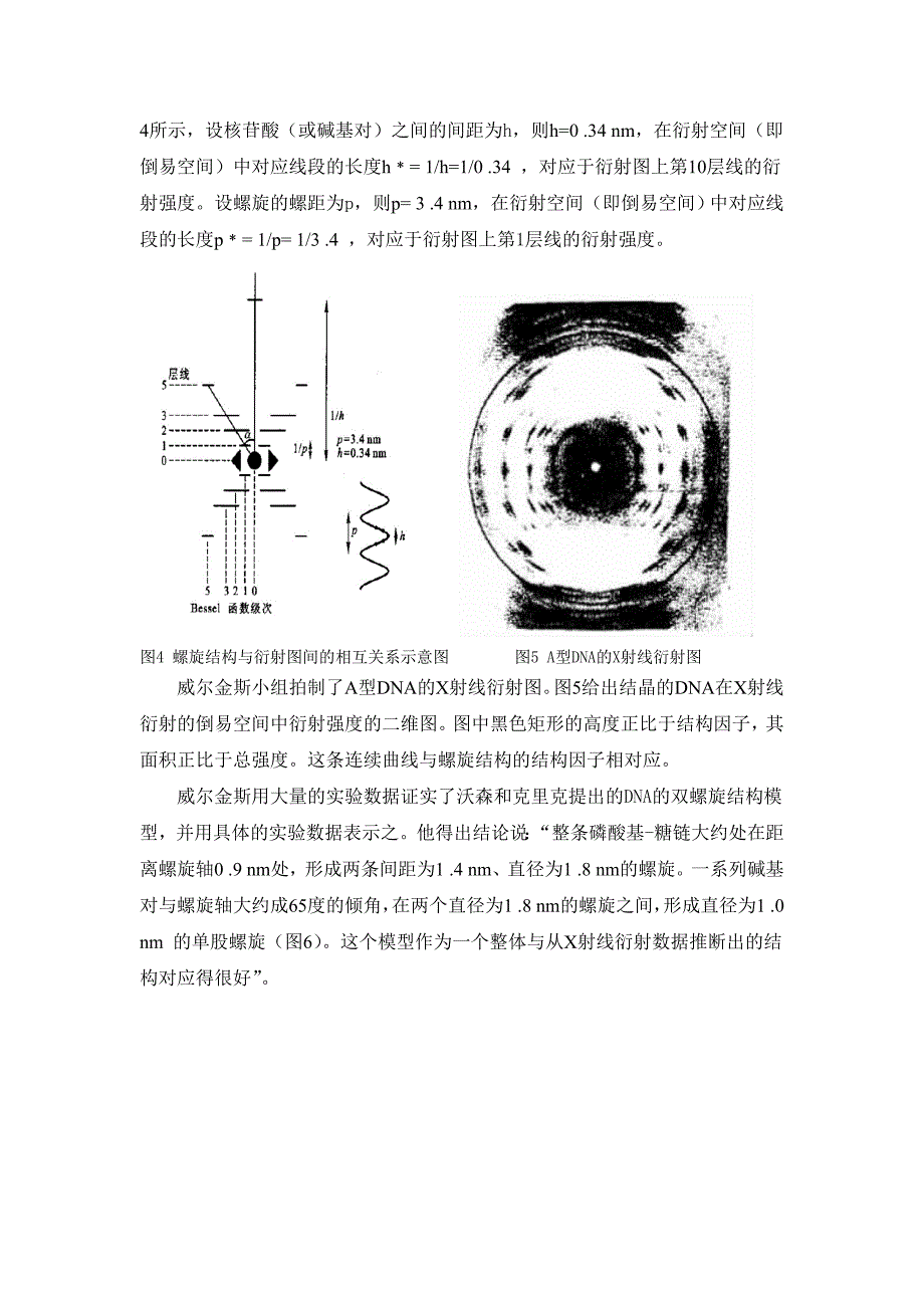 dna结构分析_第4页