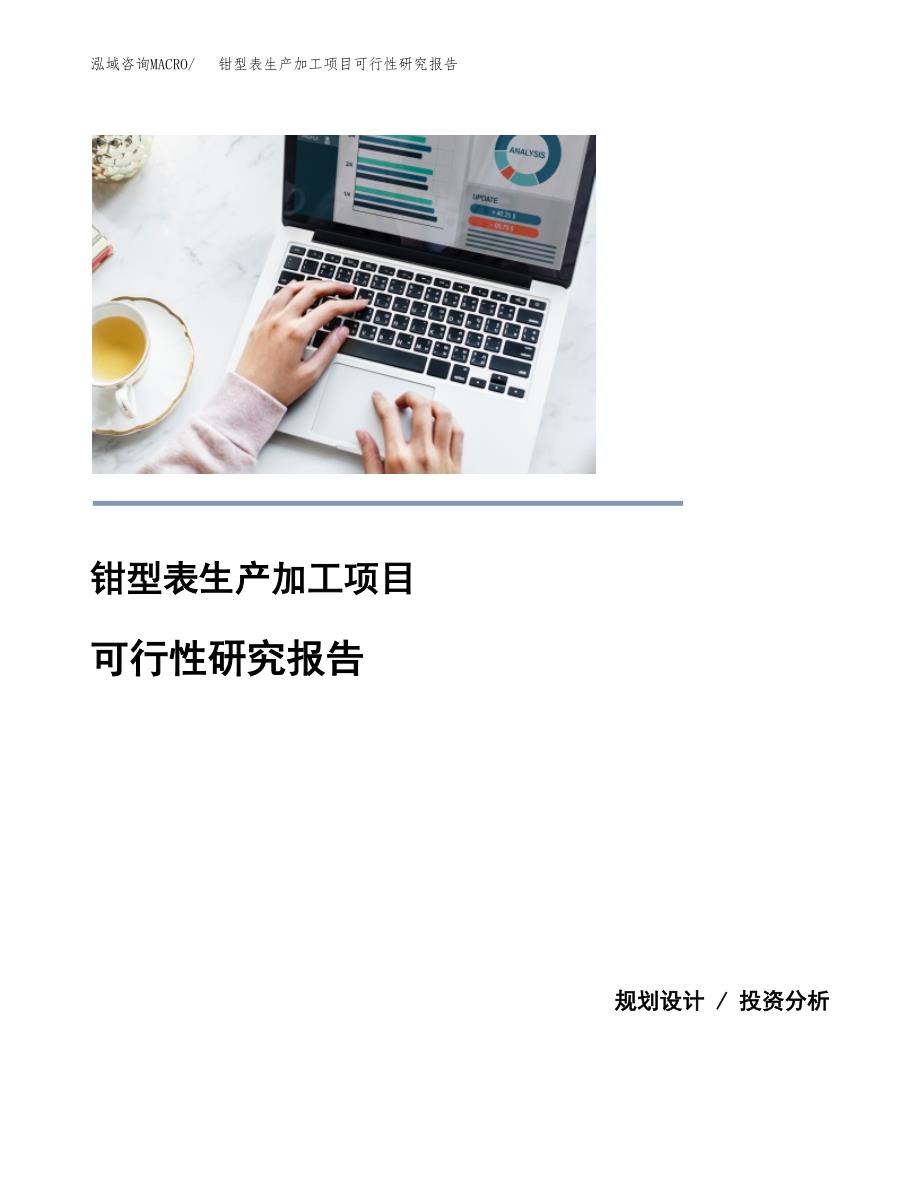 钳型表生产加工项目可行性研究报告_第1页