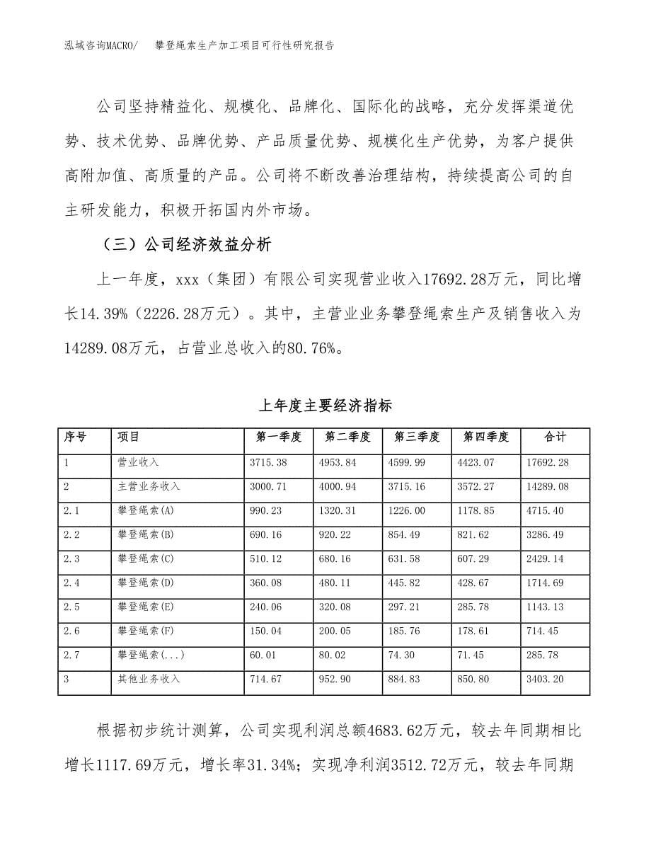 攀登绳索生产加工项目可行性研究报告_第5页