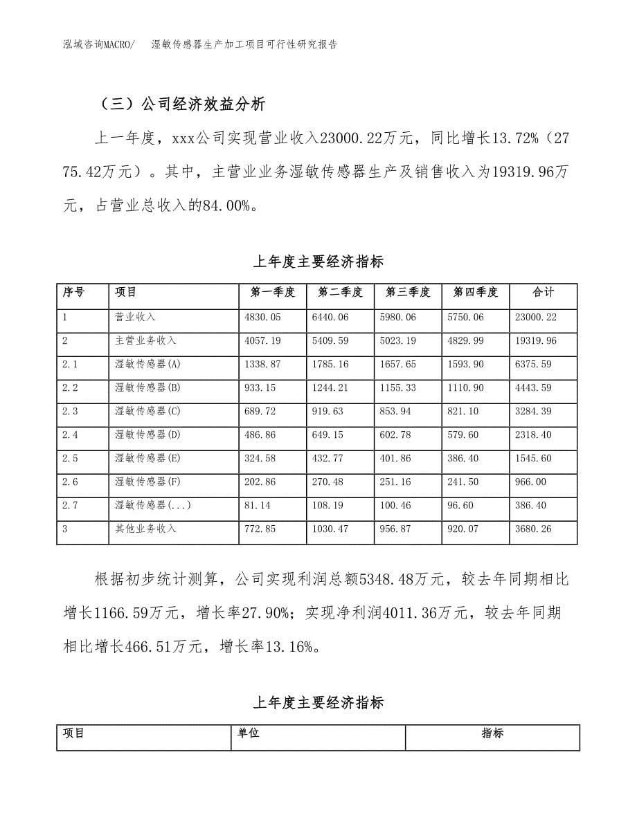 湿敏传感器生产加工项目可行性研究报告_第5页