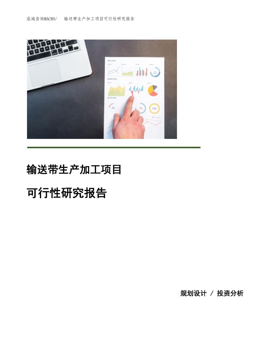 输送带生产加工项目可行性研究报告 (1)_第1页