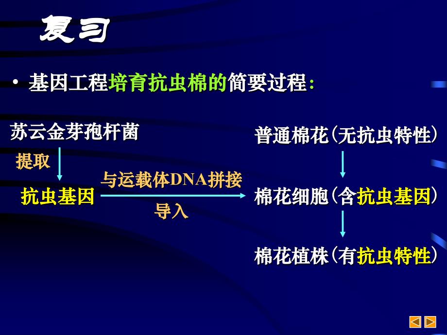 高中生物 基因工程  课件_第4页