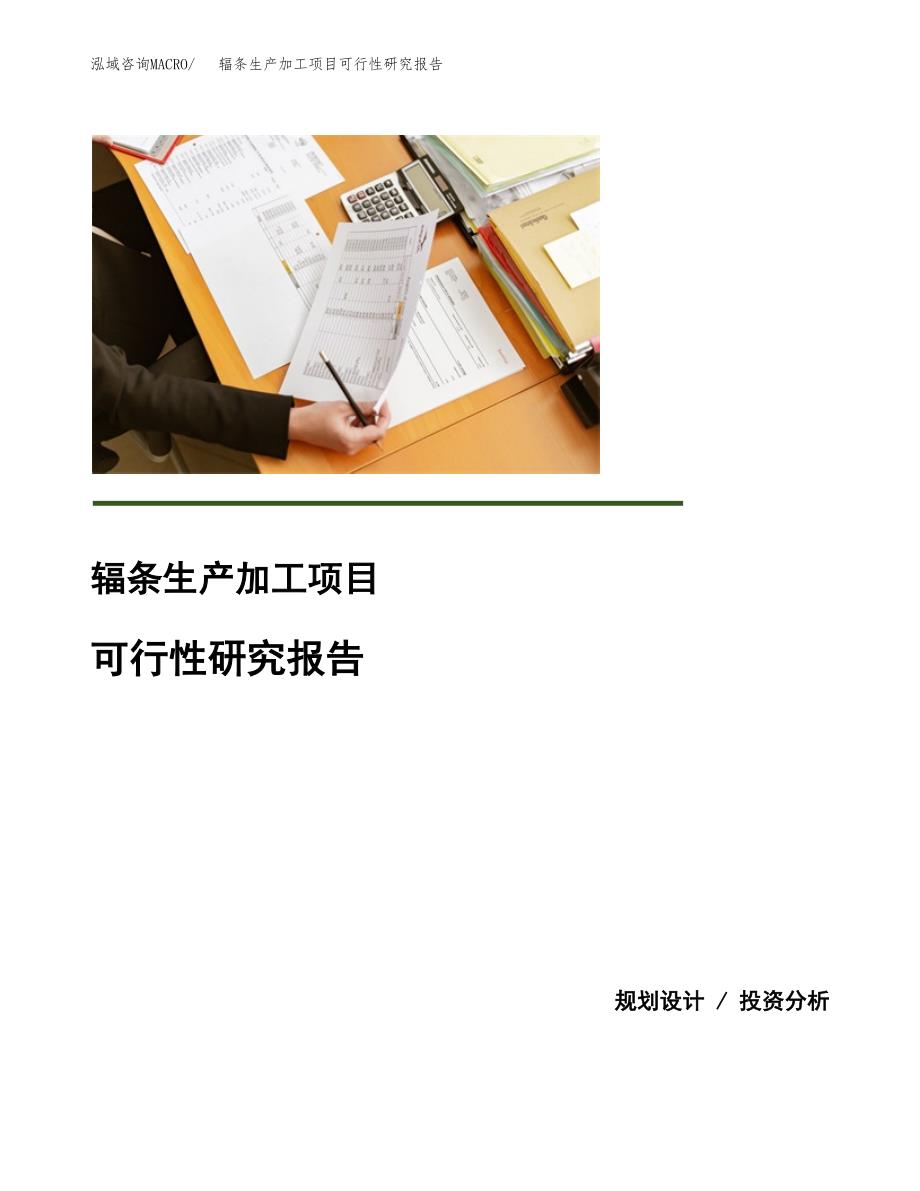 辐条生产加工项目可行性研究报告_第1页
