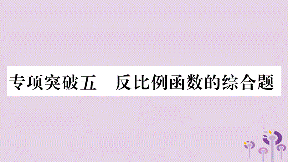 湖南省2019年中考数学复习第二轮中档题突破专项突破5反比例函数的综合题习题课件201812243162_第1页