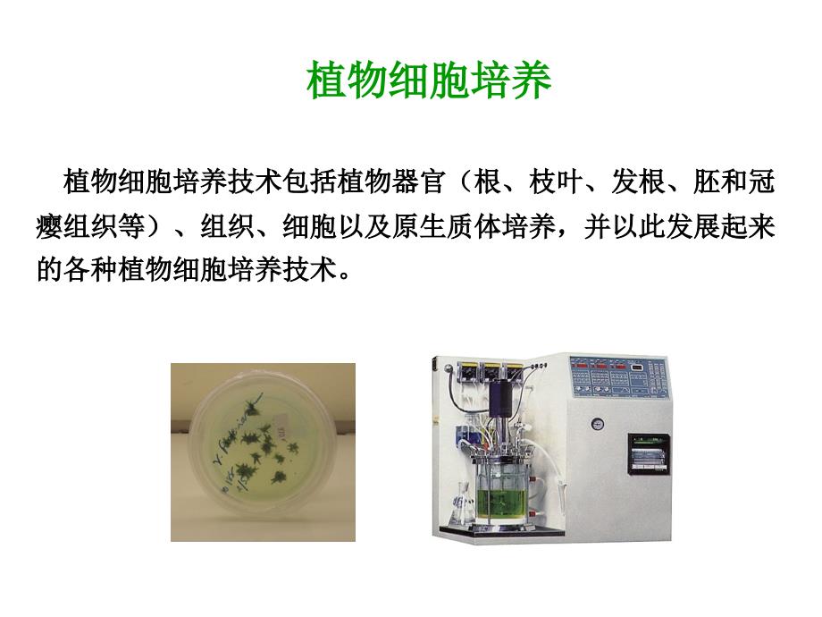 植物细胞(组织)培养反应器_第2页